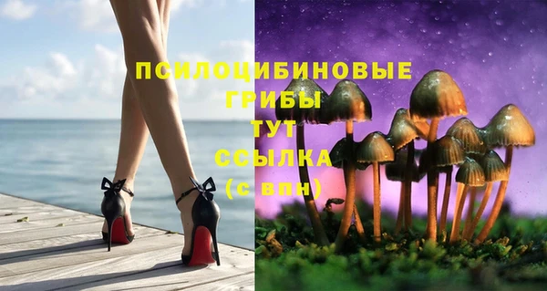 стаф Горнозаводск