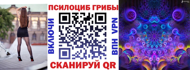 Купить где  Боровичи  Галлюциногенные грибы GOLDEN TEACHER 